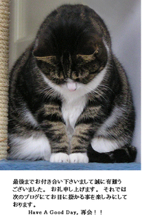 お辞儀猫.png